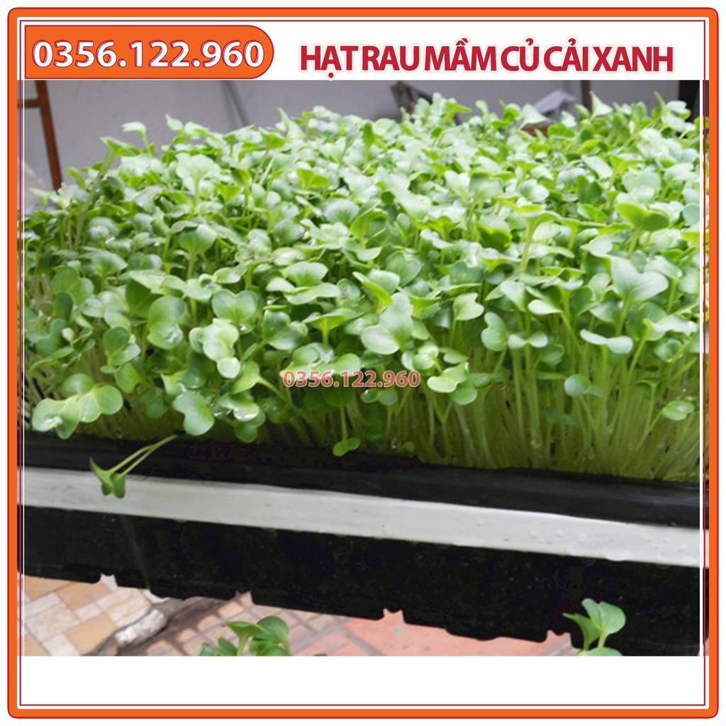 Hạt rau mầm rau Củ cải Trắng - gói 1kg