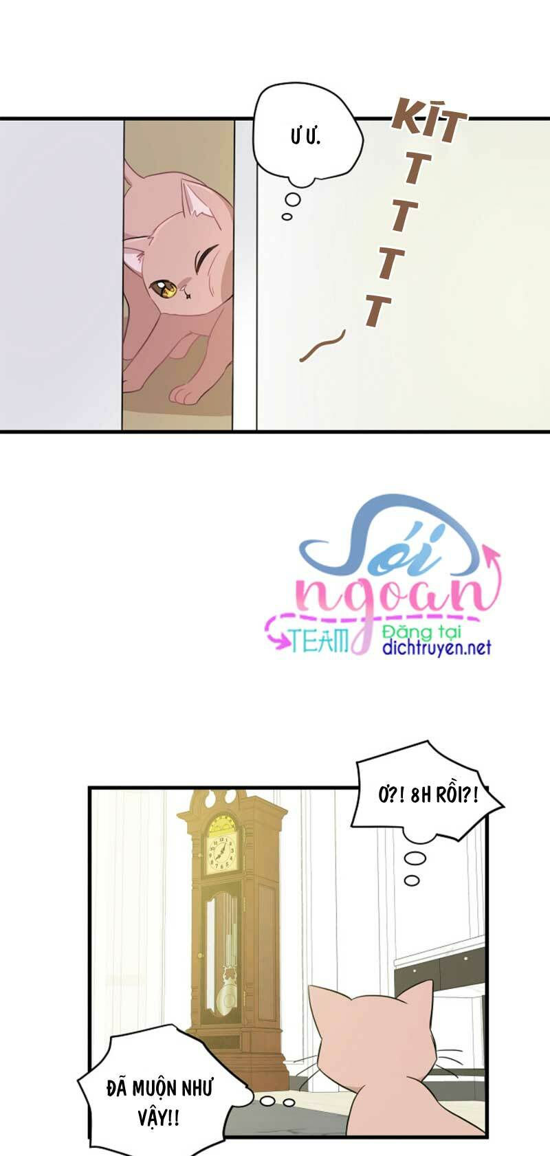 cuộc sống kỳ thú chapter 8 39