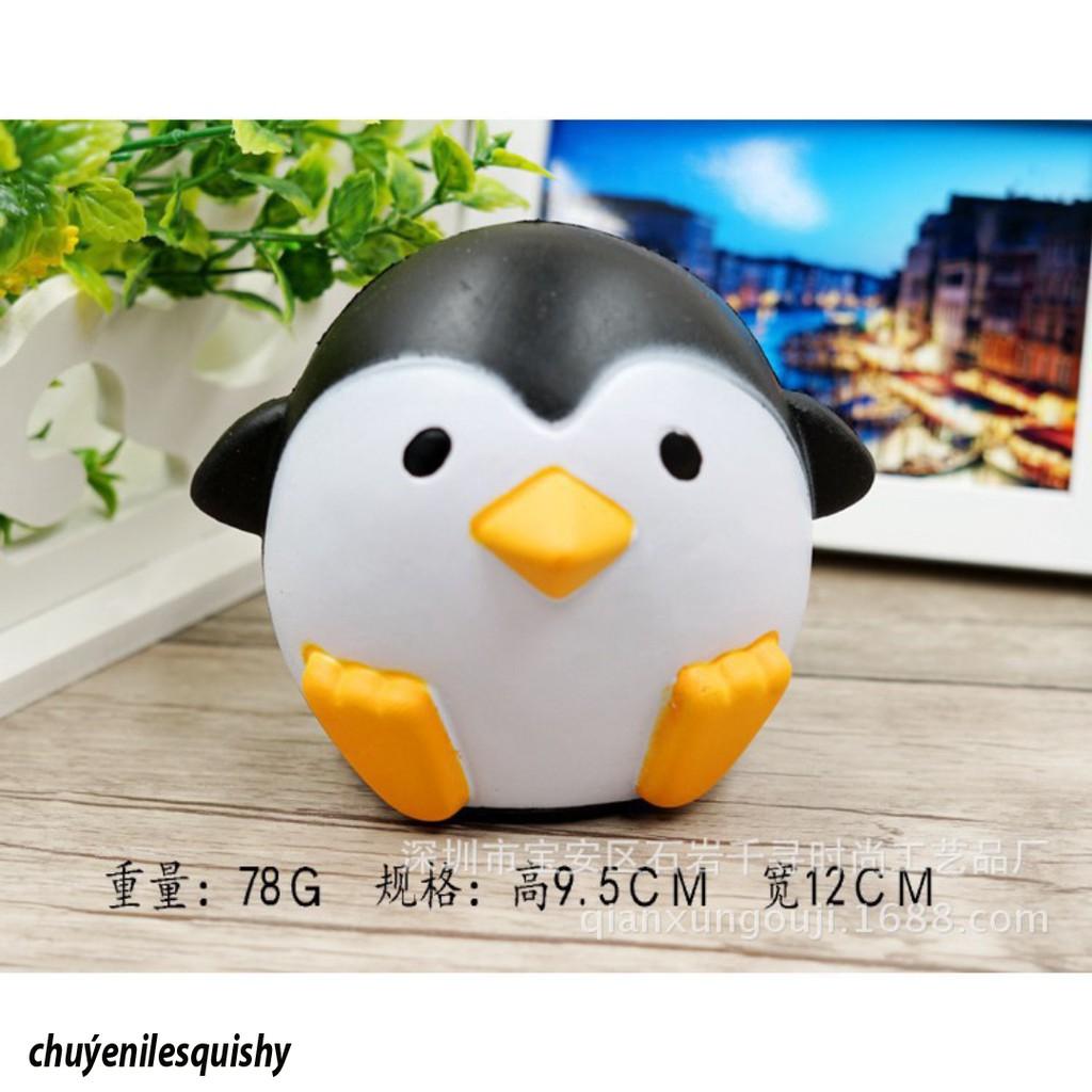 SquiShy chim cánh cụt tròn