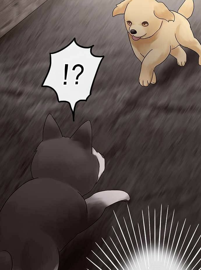 nụ hôn nguyền rủa chapter 28 22