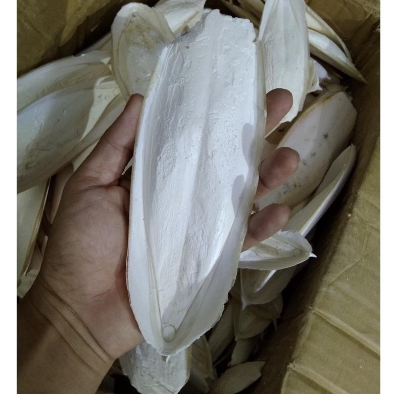 1 CÁI NAN CHO CHIM,VẸT,YẾN PHỤNG
