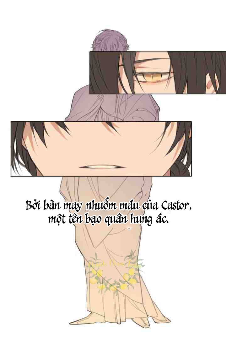 tuyển tập các chương prologue hàn chapter 24 15