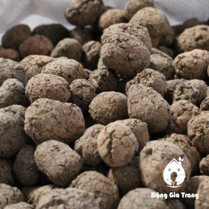 1kg Viên đất nung, đất sét nung, sỏi nhẹ SFARM, chuyên lót đáy chậu trồng cây, rải bề mặt chậu giúp thoáng đất