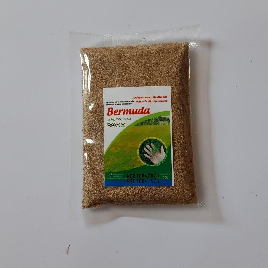 (100g), Hạt Giống Cỏ Bermuda,Cỏ Ống, Cỏ Chỉ Trồng Trang Trí Sân Vườn