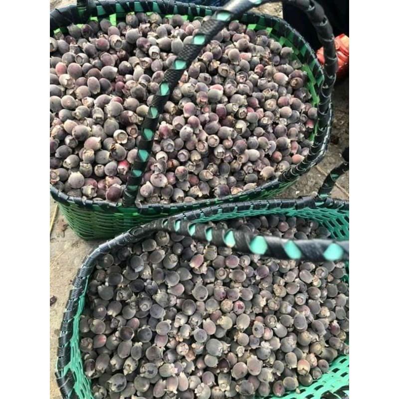 CHUẨN Combo 10kg củ gấu cho khách sỉ