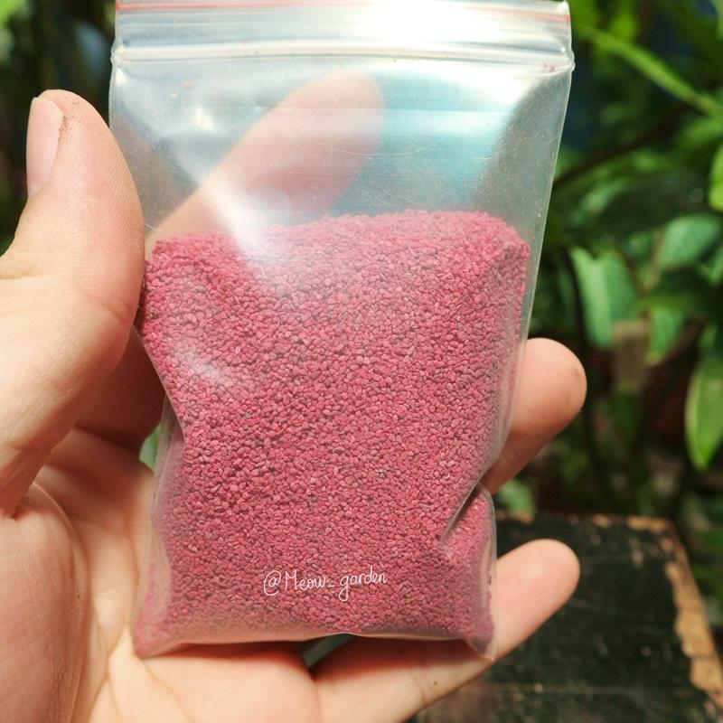 Thuốc tím trị rệp Thái Starkle-G | Dùng cho sen đá, xương rồng, cây kiểng lá