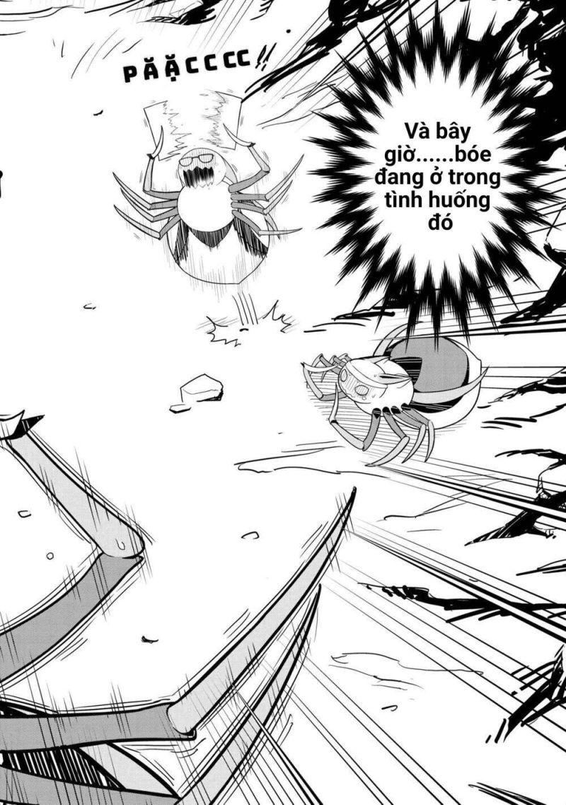 kumo desu ka nani ka? daily life of the four spider sisters chapter 1 2