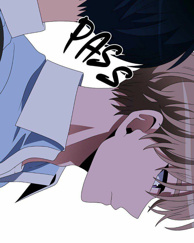 no scope chapter 86 48