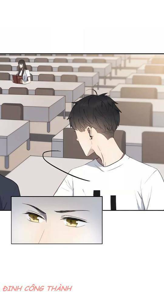 con đường màu đen chapter 8 13