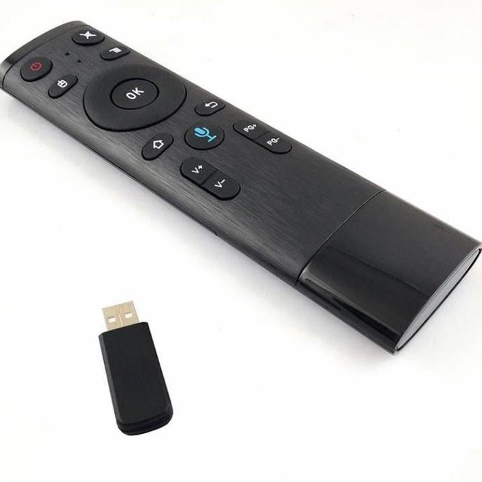 Remote Điều Khiển Giọng Nói G10