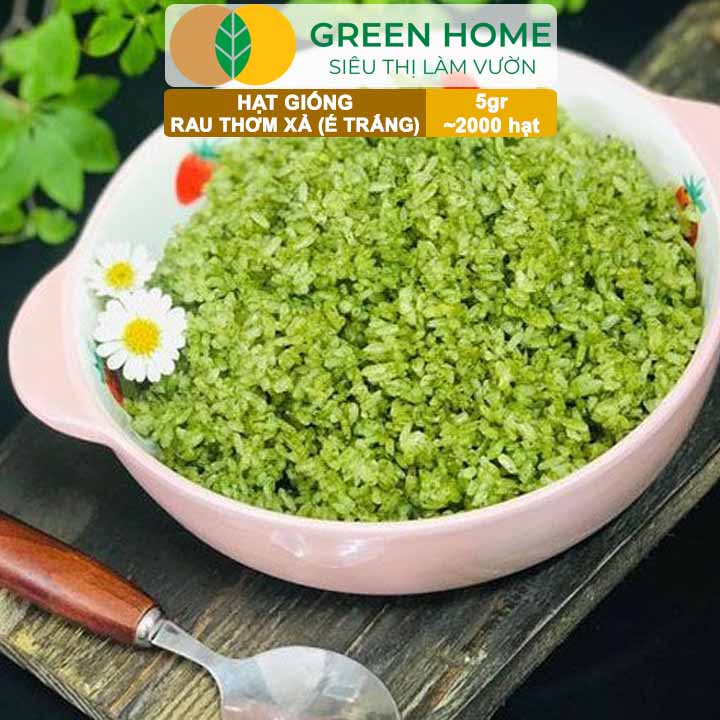 Hạt Giống Rau Thơm Xả (É Trắng) GreenHome, Gói 5g~2000 hạt, Sinh Trưởng Khỏe, Dễ Trồng Quanh Năm G19