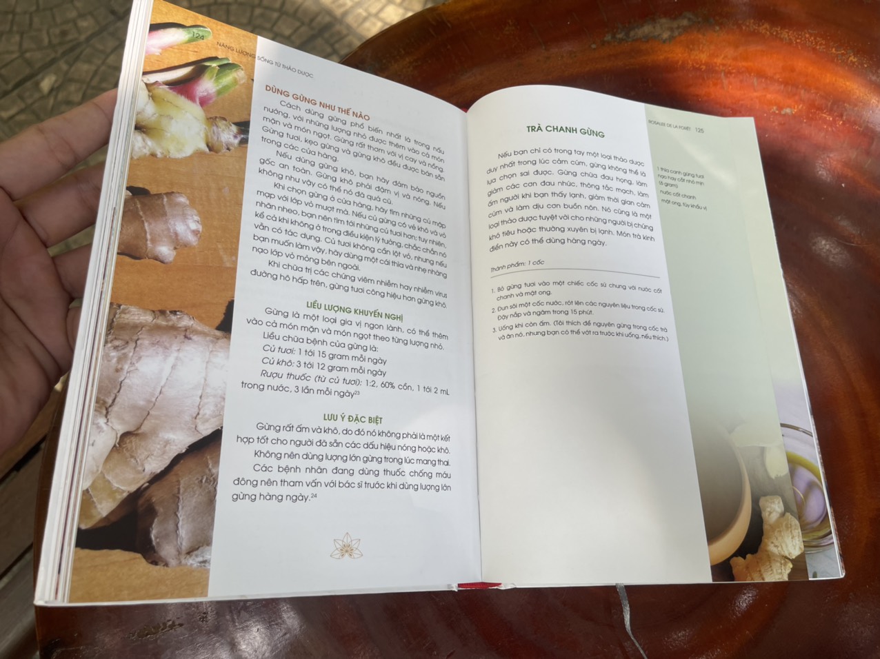 NĂNG LƯỢNG SỐNG TỪ THẢO DƯỢC - Rosalee de la Forêt - Huy Hoang Bookstore