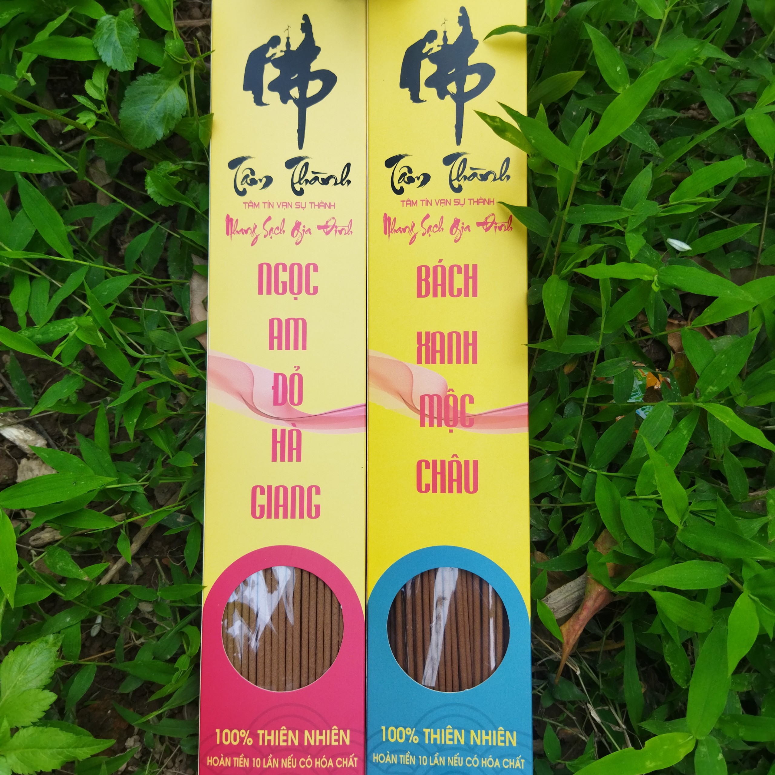 Hương Hoàng_Đàn Tuyết Lạng Sơn_Nhang Hoàng_Đàn_Nhang Bách_Xanh_Nhang Ngọc_Am_Cam Kết 100% Không Hóa Chất.