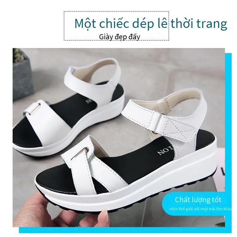 Đảm Bảo Chất Lượng Giày Nữ Thời Trang Chạy Bộ Nhẹ Ins Hợp Thời Trang Đôi Giày Thường