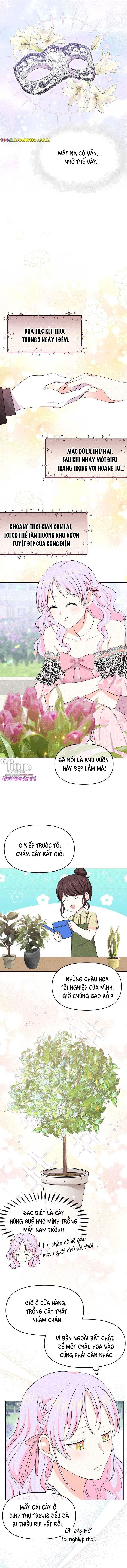 quay về quá khứ mở tiệm bánh kẹo chapter 14.1 6