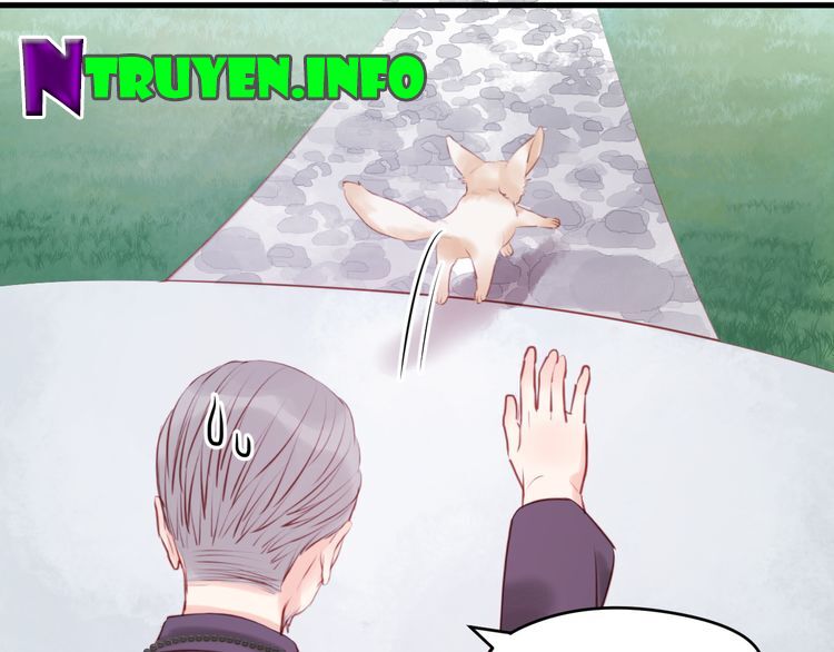 lượm được một tiểu hồ ly phần 1 chapter 48 27