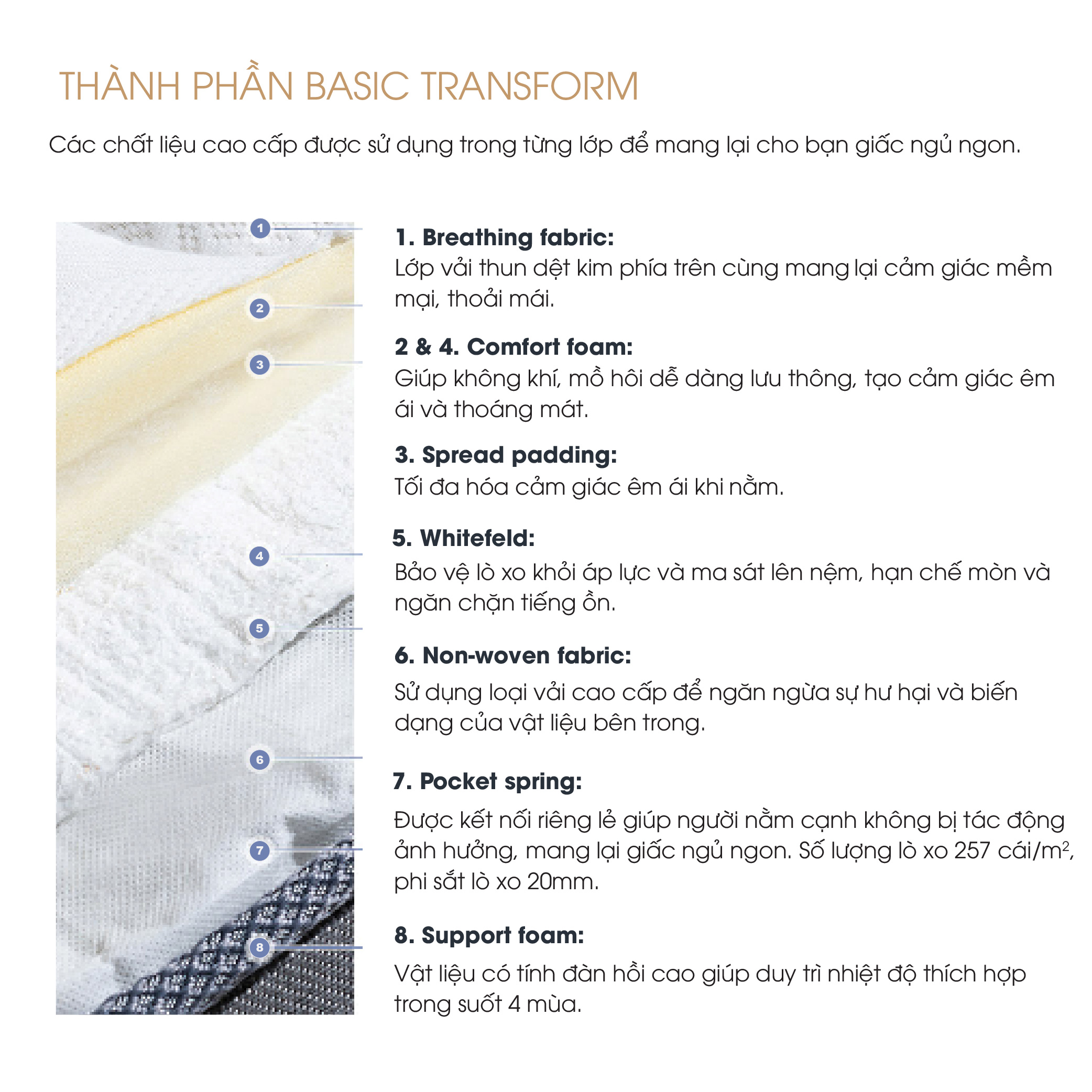 Nệm Lò Xo Túi Hút Chân Không Samick Transform