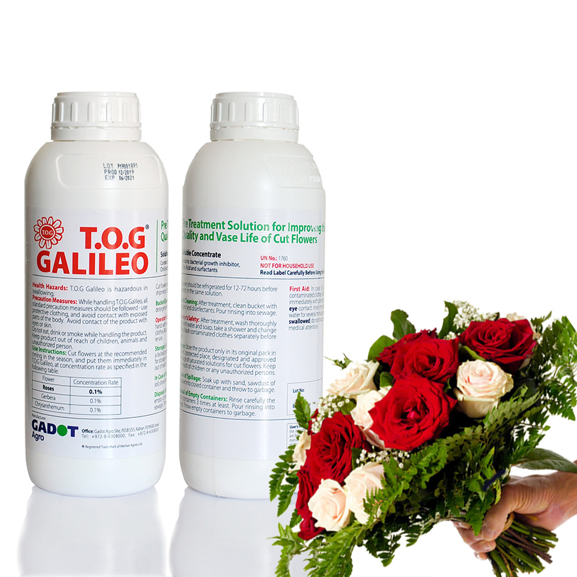 Combo 2 Chai Nước Cắm Hoa Lâu Tàn và Kiềm hoa không nở 15 ngày tại nhà vườn trồng hoa bằng dung dịch bảo quản hoa TOG Galileo của Israel