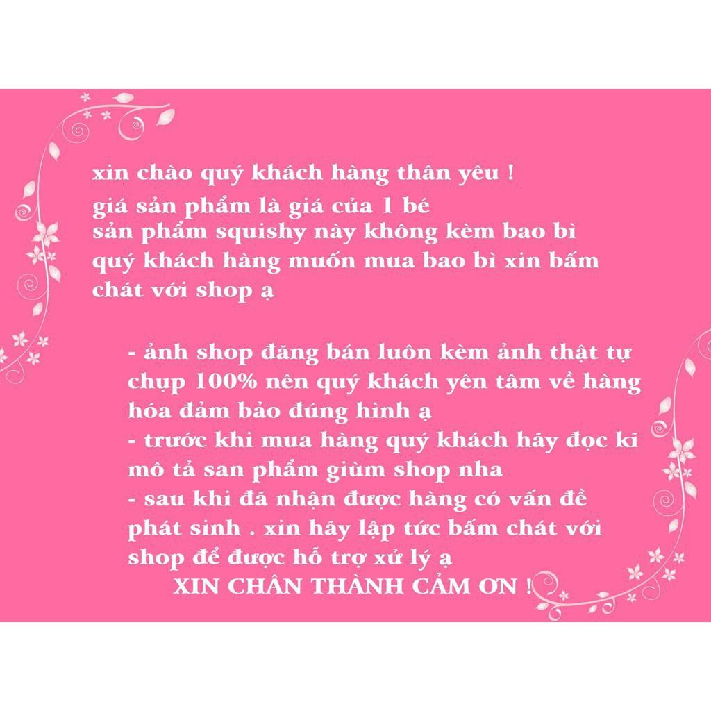 SQUISHY MÈO ấp ôm HỘP QUÀ XANH