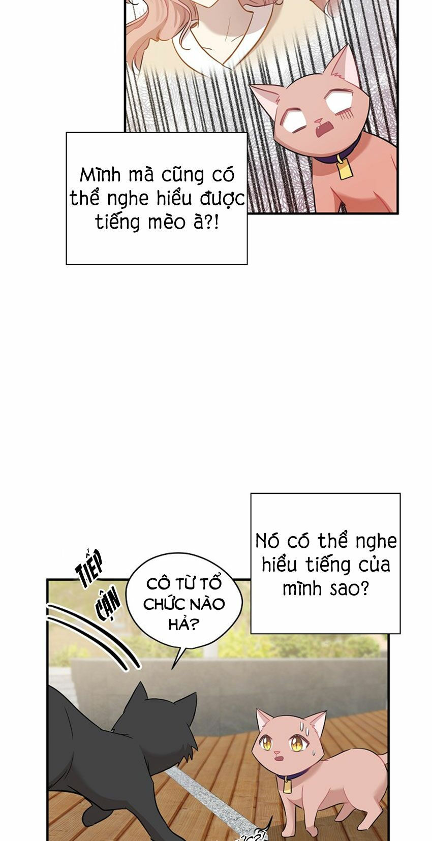 cuộc sống kỳ thú chapter 21 14