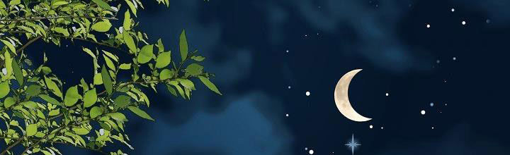 tái sinh thành con gái nam chính chapter 28 470