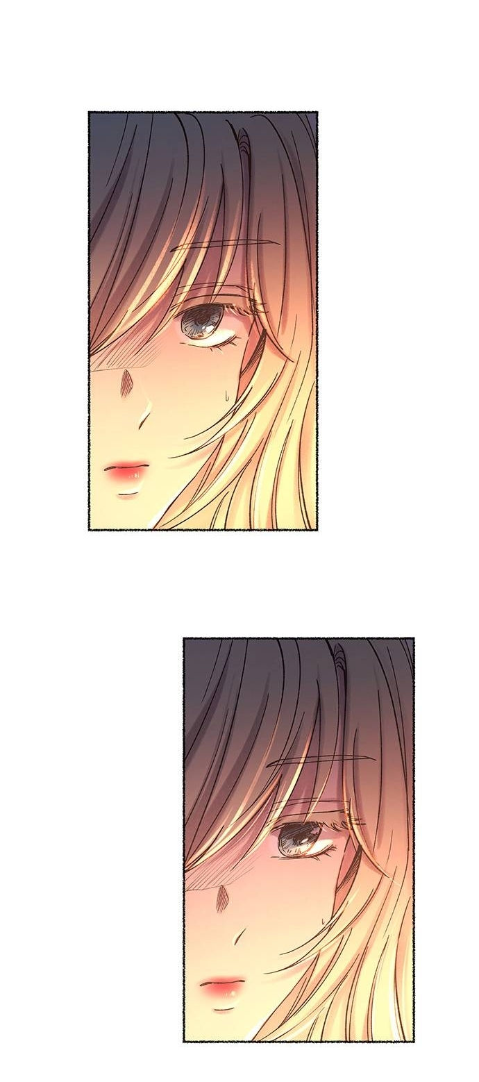 như gió trên cành cây khô chapter 26 9