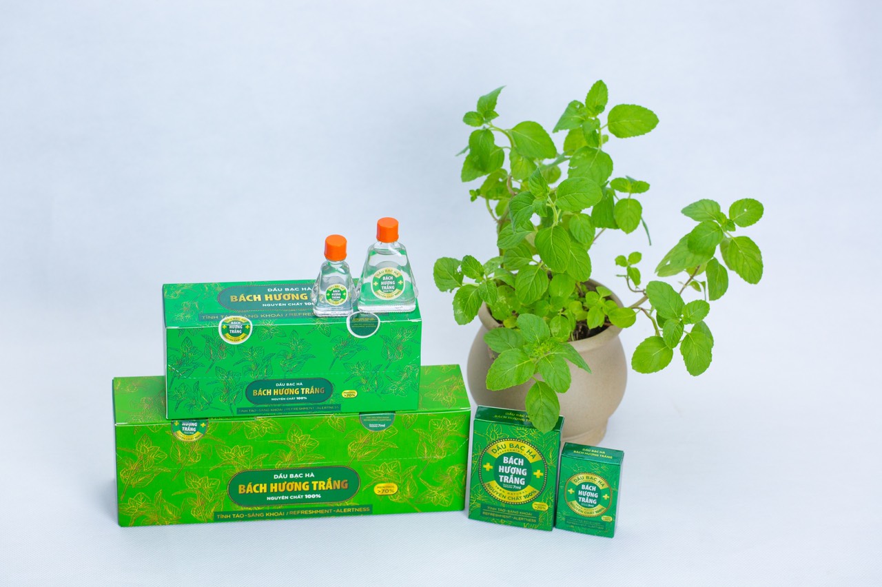 Tinh dầu Bách Hương Trắng, 3ml ,100% tinh dầu bạc hà thiên nhiên