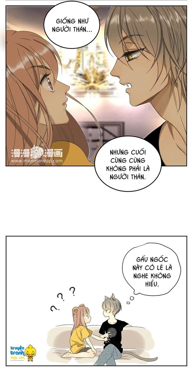 cứu mạng ! loài mèo thống trị thế giới rồi ! chapter 11 13