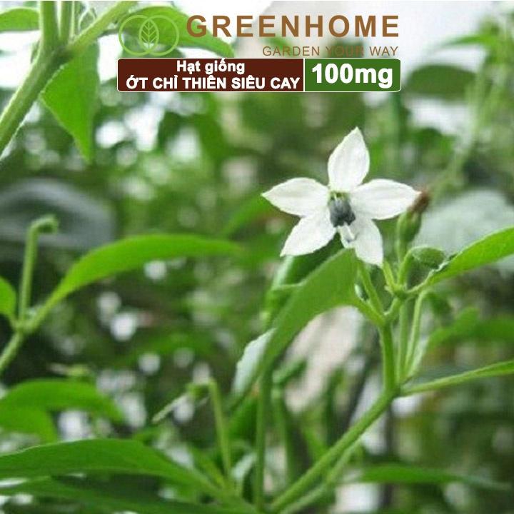 Hạt Giống Ớt Chỉ Thiên Greenhome, Gói 1gr, Sai Trái, Siêu Cay, Dễ Trồng Quanh Năm, Nảy Mầm Cao, Thu Hoạch Nhanh G10