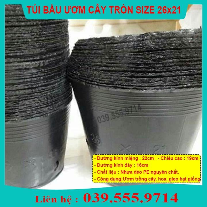 TÚI BẦU NHỰA MỀM ƯƠM CÂY SZE 26X21 -TÁI SỬ DỤNG NHIỀU LẦN