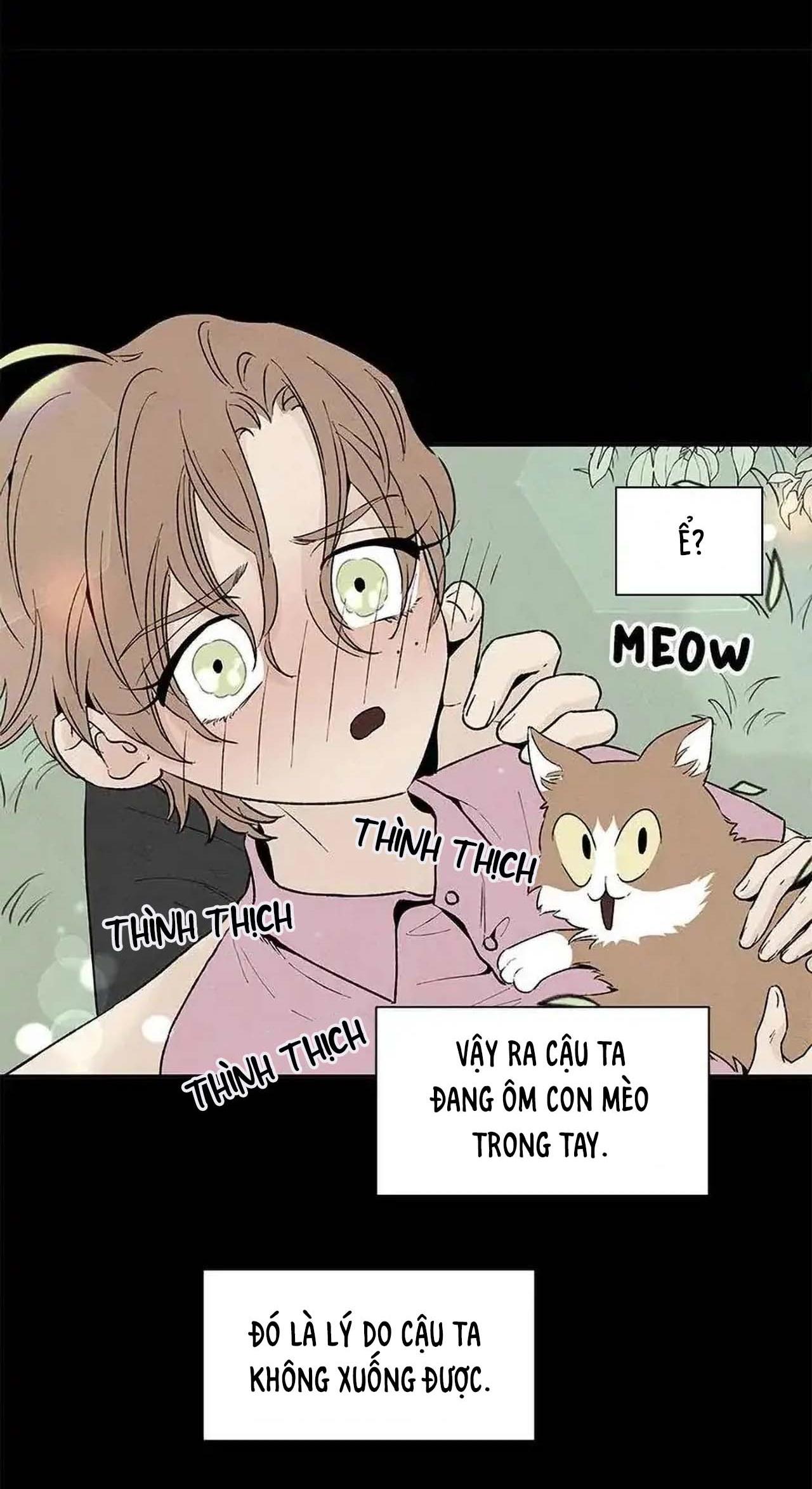 bona sort chapter 53 10