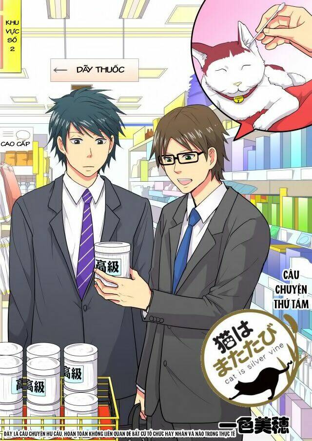 cat is silver vine chapter 8 1