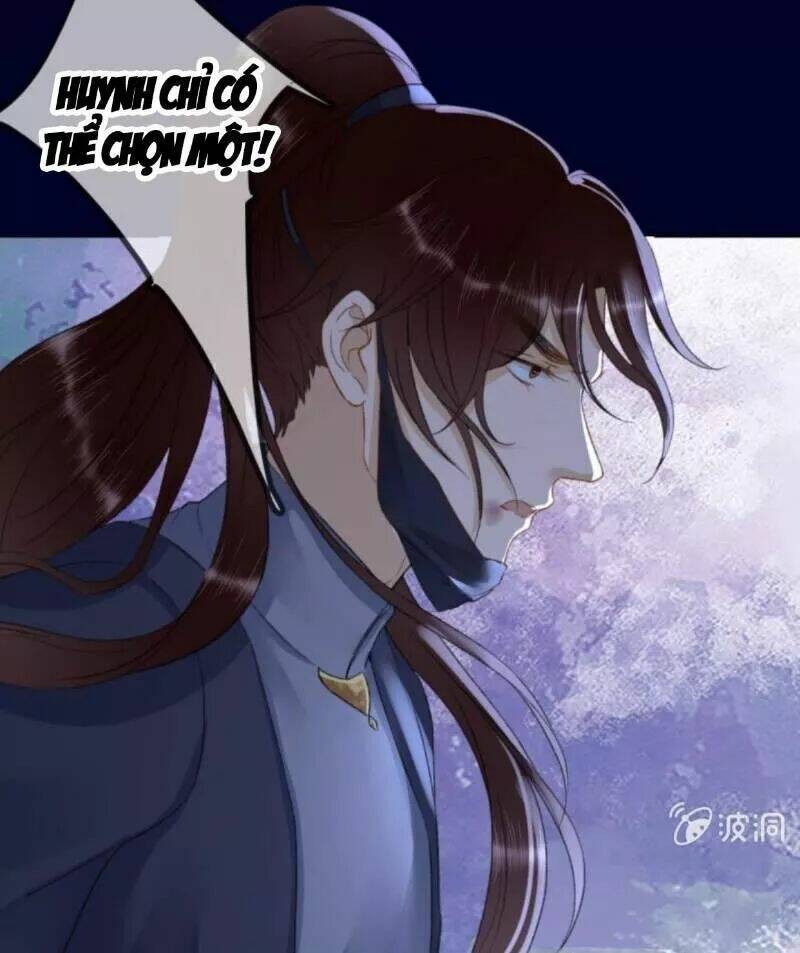 sủng phi của vương chapter 146 34