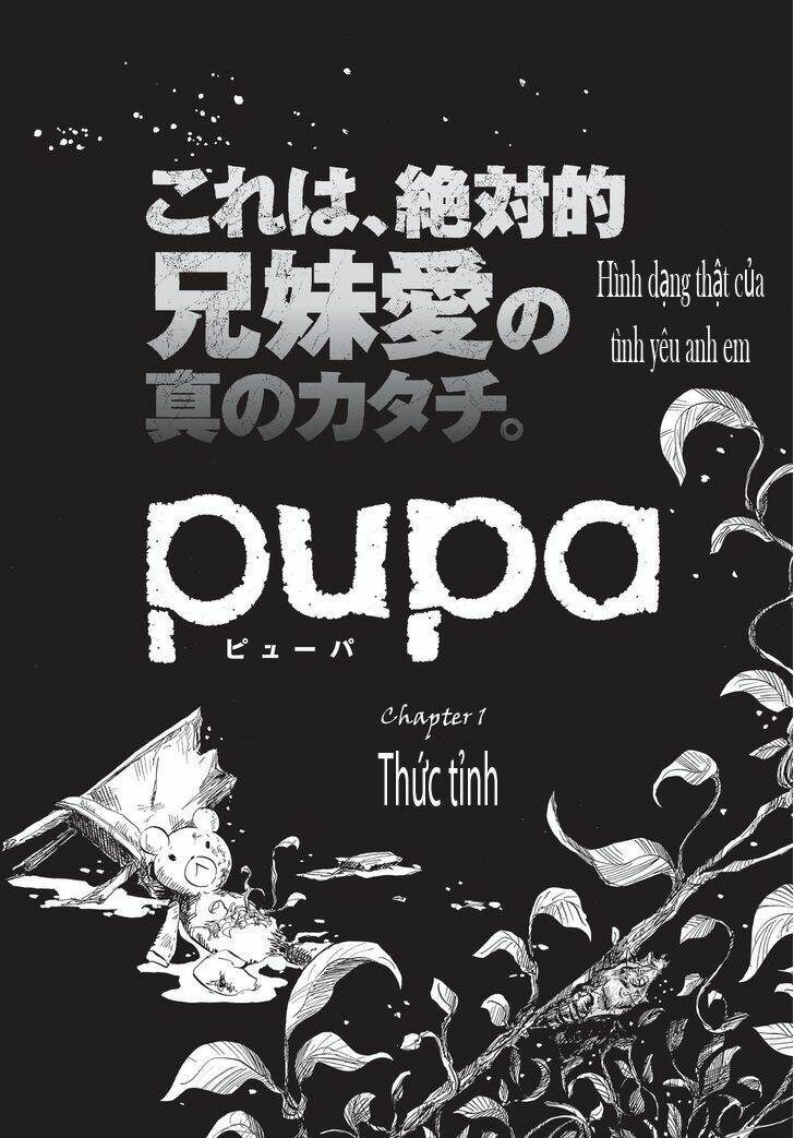 pupa chapter 1 3