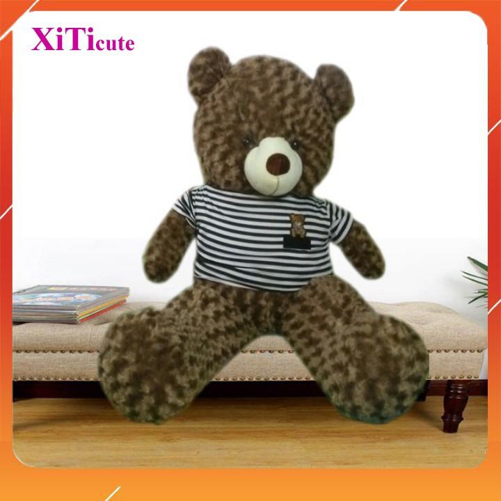 Thú nhồi bông gấu Teddy SIÊU TO khổng lồ dùng để làm quà tặng người thương, gối ôm hoặc vật trang trí trong nhà