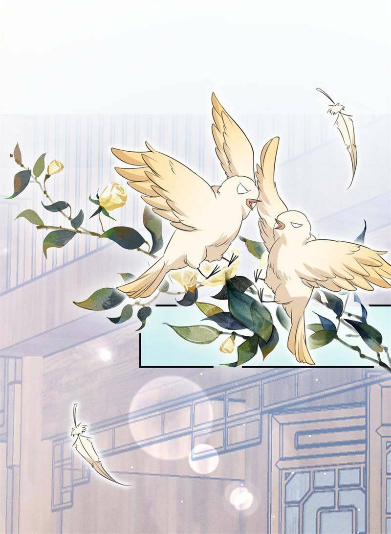 hoàng tử phu quân, ta nuôi ngươi a! chapter 13 20