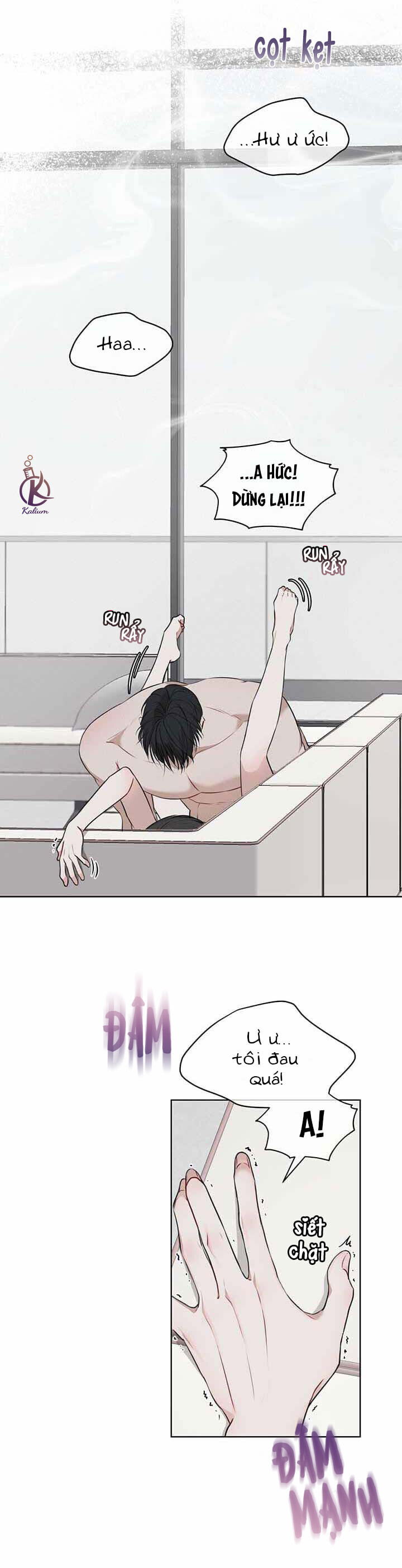 hình thái khởi sinh chapter 23 11