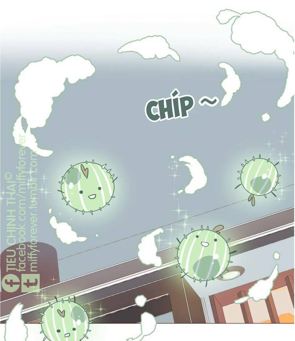 bạn trai xương rồng chapter 4 23