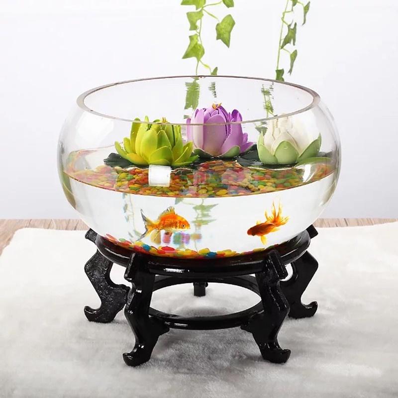 Chậu thủy tinh tròn thấp đường kính 23 cm nuôi cá cảnh nhỏ, trồng cây thủy sinh, mix tiểu cảnh terrarium