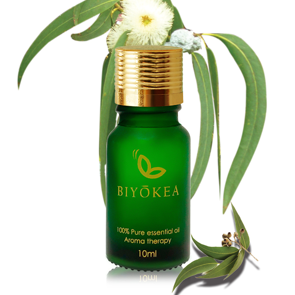 Tinh Dầu Khuynh Diệp Biyokea