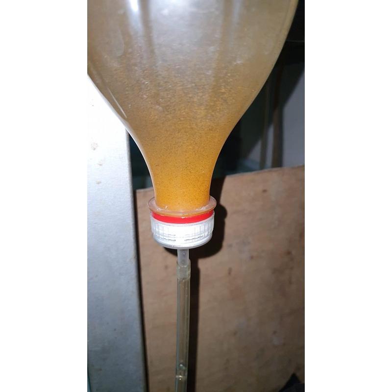 Lon Artemia Mỹ tỷ lệ cao 90-95%. Ấp 1 lần thu hoạch 2 lần-Nở tốt-Trứng chìm ít. Trứng Mỹ cho cá betta-Guppy-thuỷ sinh.
