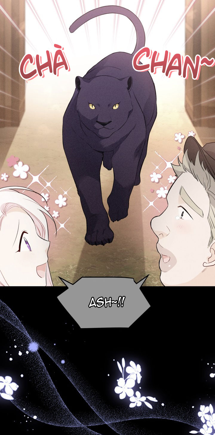 mối liên kết giữa báo đen và bé thỏ chapter 50 6