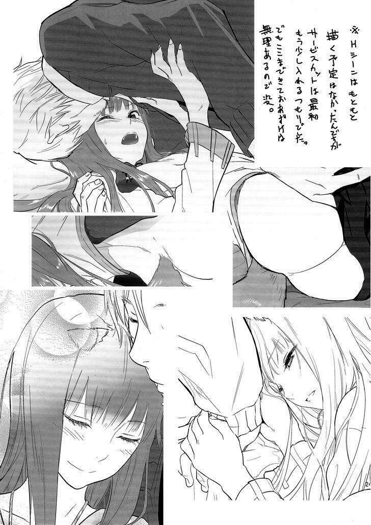 spice and wolf doujinshi harvest i chapter 1 26