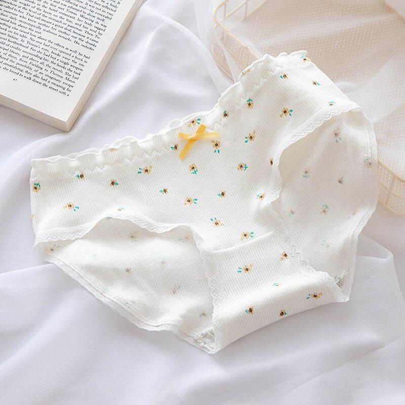 Quần lót cotton nữ mẫu gấu vàng bi