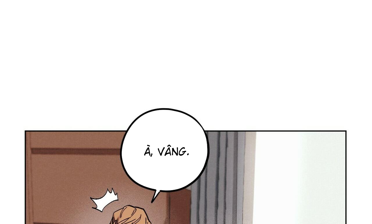 chàng dâu nhà họ kang chapter 27 108