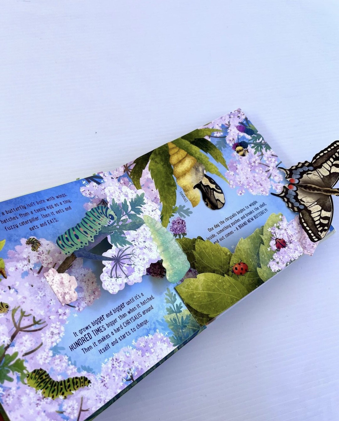 SÁCH POP-UP 3D BUTTERFLIES CHO BÉ