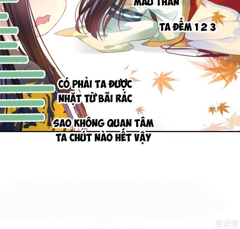 vương gia, áo lót của ngươi rơi mất rồi chapter 35 28