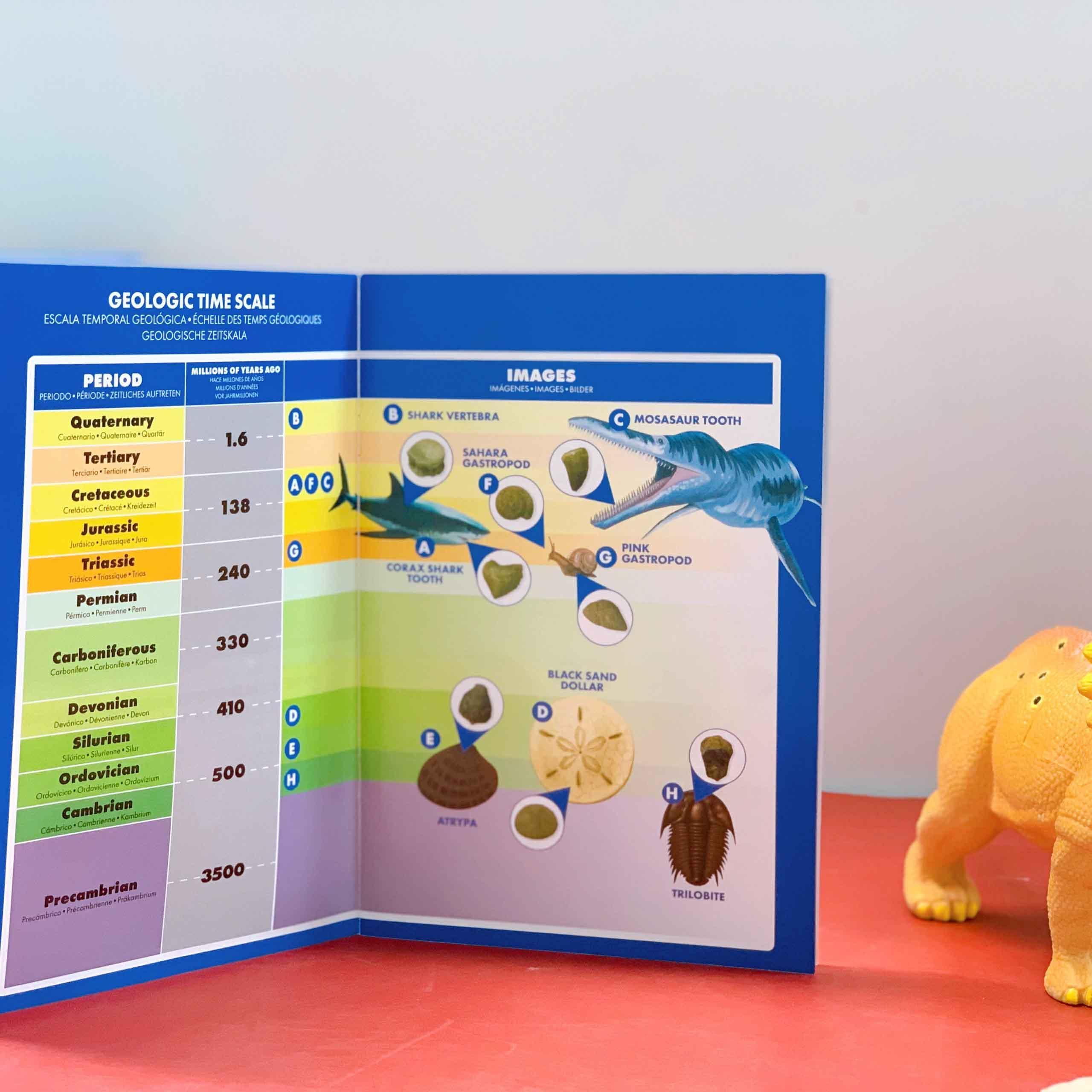 Educational Insights Bộ công cụ khai quật hoá thạch - GeoSafari Fossil Excavation Kit