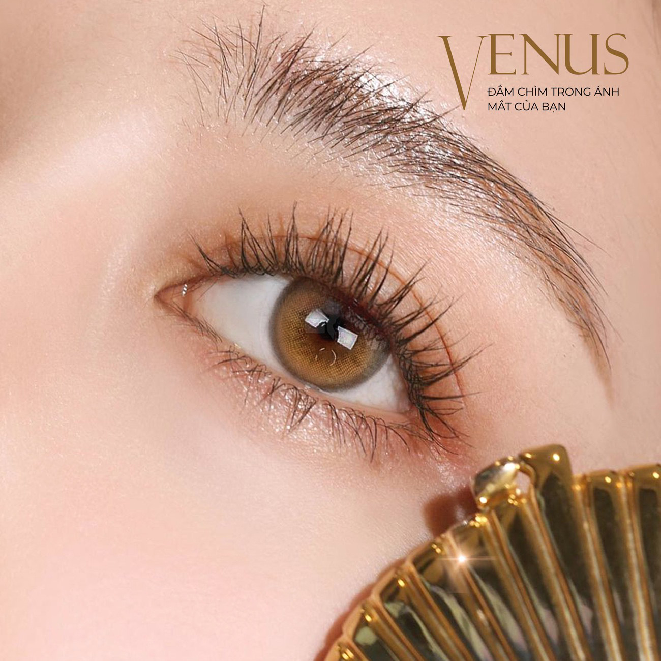 Lens nâu tây có cận 0-8 Venus hiệu Angel Eyes - Dòng kính áp tròng nâu Silicone Hydrogel cao cấp Hàn Quốc Dia 14.0