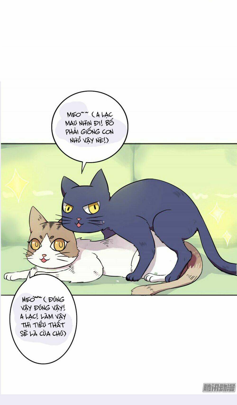 hai chú mèo totem chapter 2 21